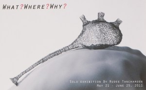 whatwherewhy_invitation